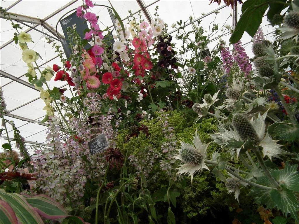 Floral marquee in the long water area 10